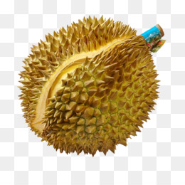 Detail Buah Durian Png Nomer 27