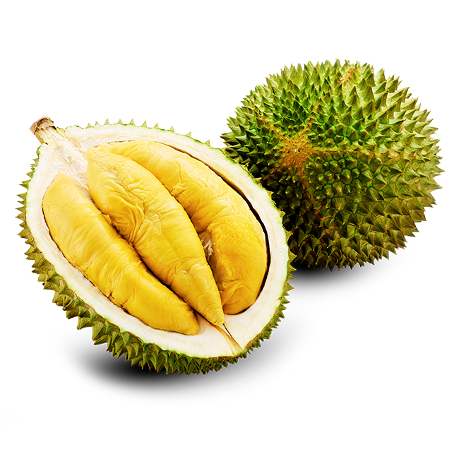 Detail Buah Durian Png Nomer 28