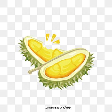 Detail Buah Durian Png Nomer 42