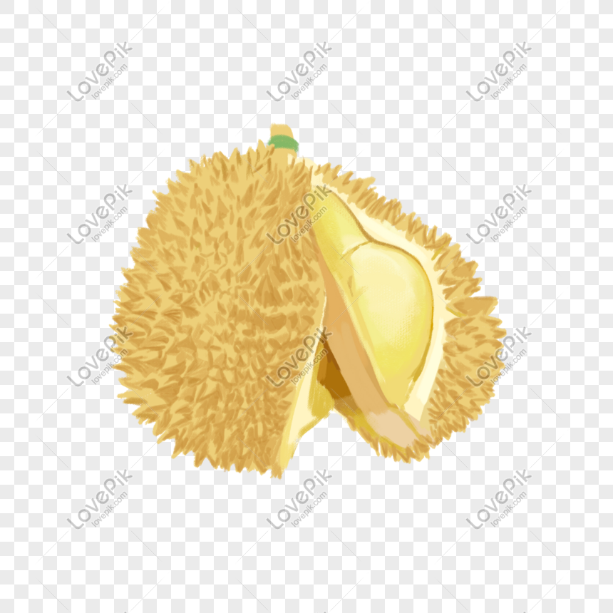 Detail Buah Durian Png Nomer 44