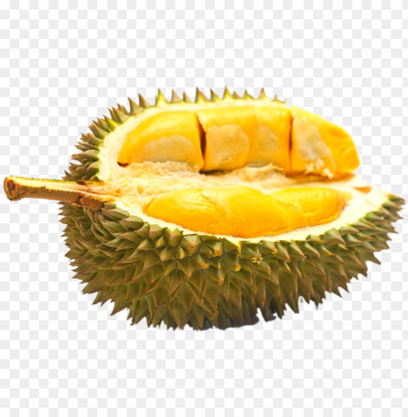 Detail Buah Durian Png Nomer 6