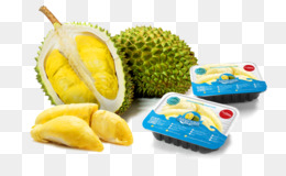 Detail Buah Durian Png Nomer 50