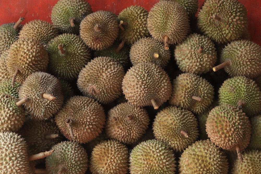 Detail Buah Durian Png Nomer 54