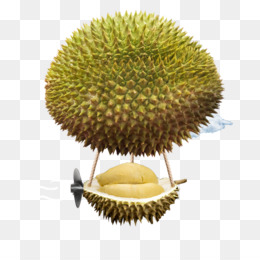 Detail Buah Durian Png Nomer 55