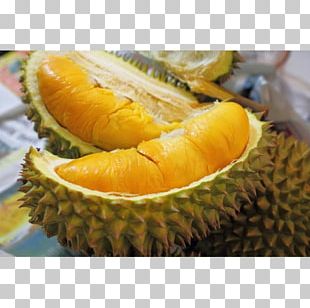 Detail Buah Durian Png Nomer 58