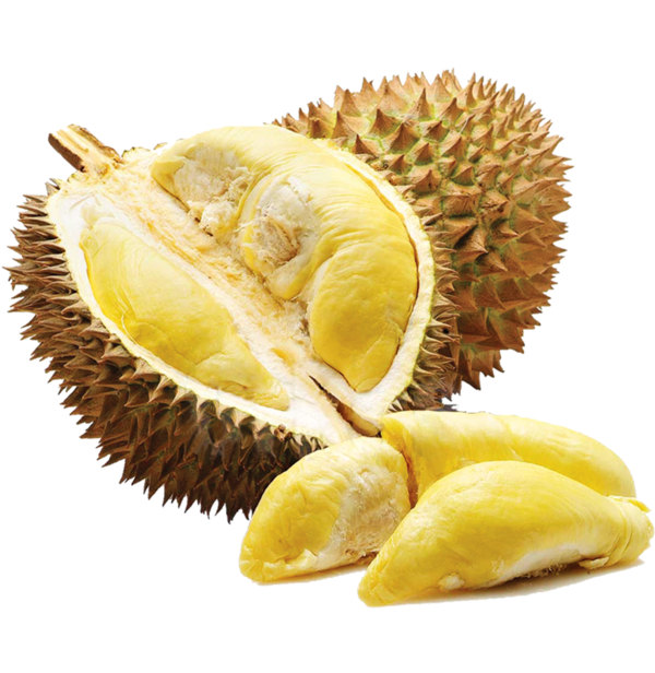 Detail Buah Durian Png Nomer 8