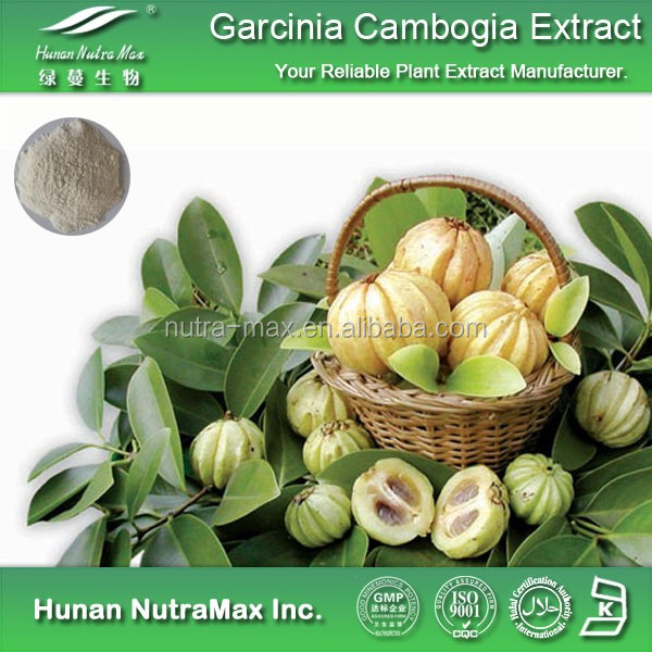 Detail Buah Garcinia Cambogia Nomer 52