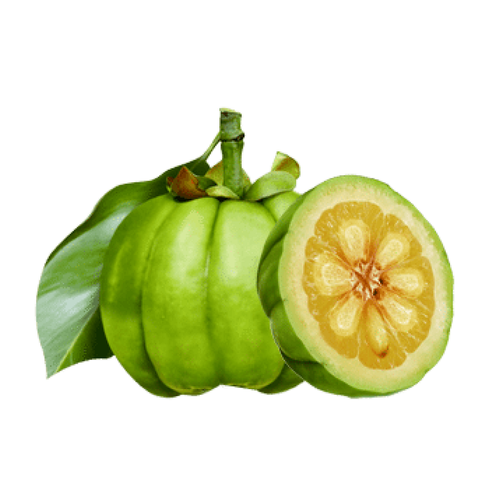 Detail Buah Garcinia Cambogia Nomer 53