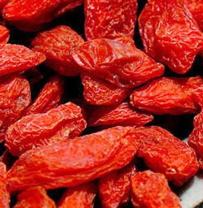 Detail Buah Goji Berry Di Indonesia Nomer 13