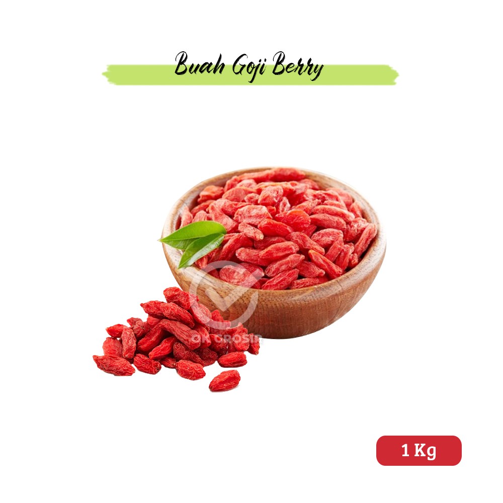 Detail Buah Goji Berry Di Indonesia Nomer 28