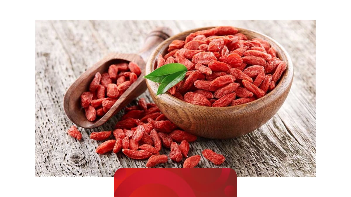 Detail Buah Goji Berry Di Indonesia Nomer 40