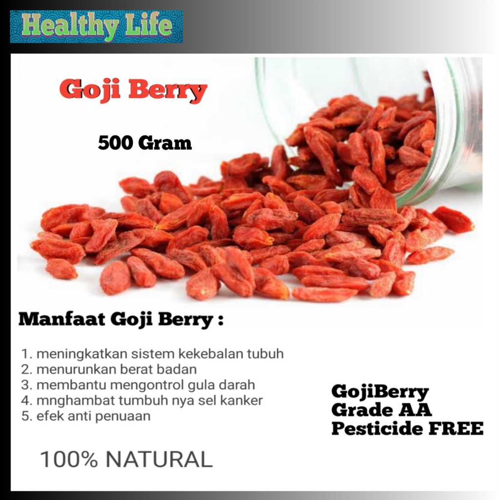 Detail Buah Goji Berry Di Indonesia Nomer 50