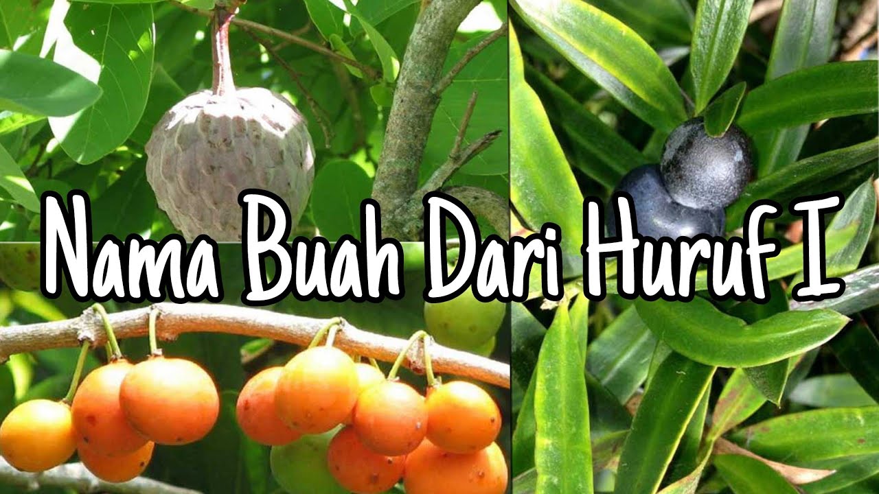 Detail Buah Huruf I Nomer 15