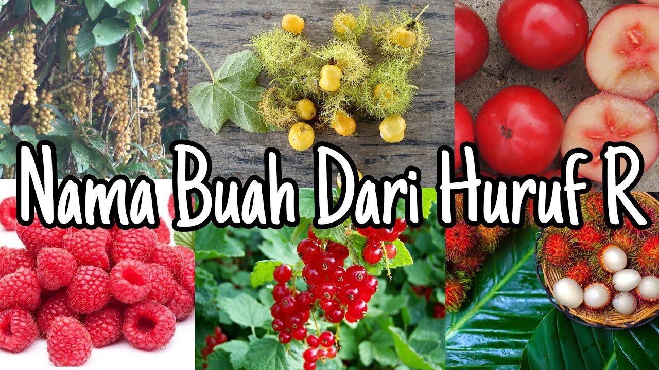 Detail Buah Huruf I Nomer 56