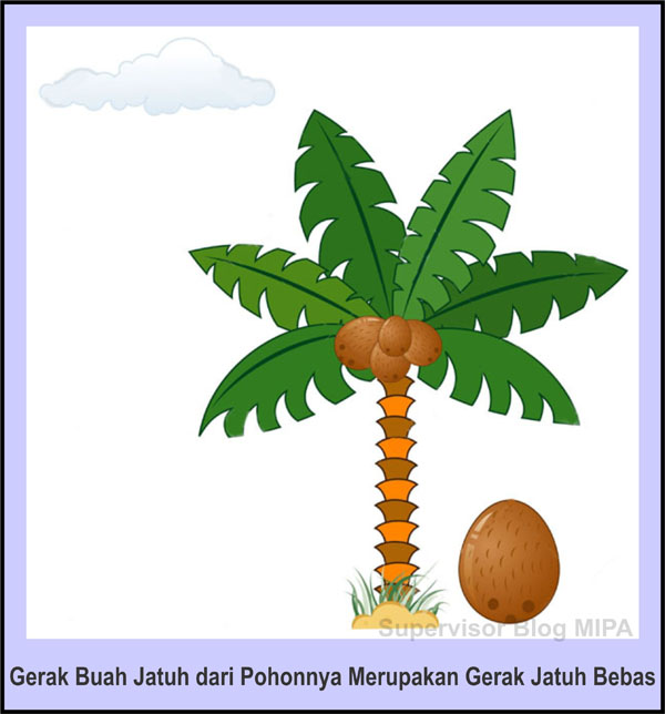 Detail Buah Jatuh Dari Pohon Nomer 14