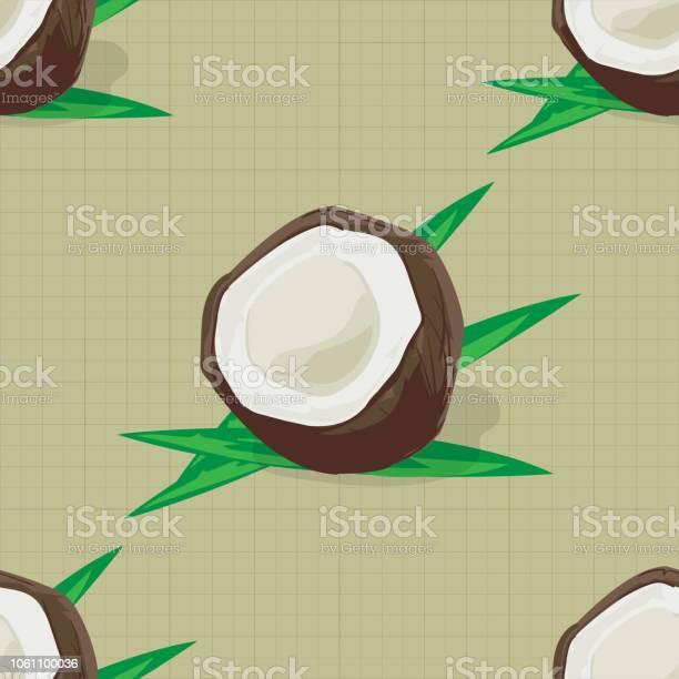 Detail Buah Kelapa Vector Nomer 56