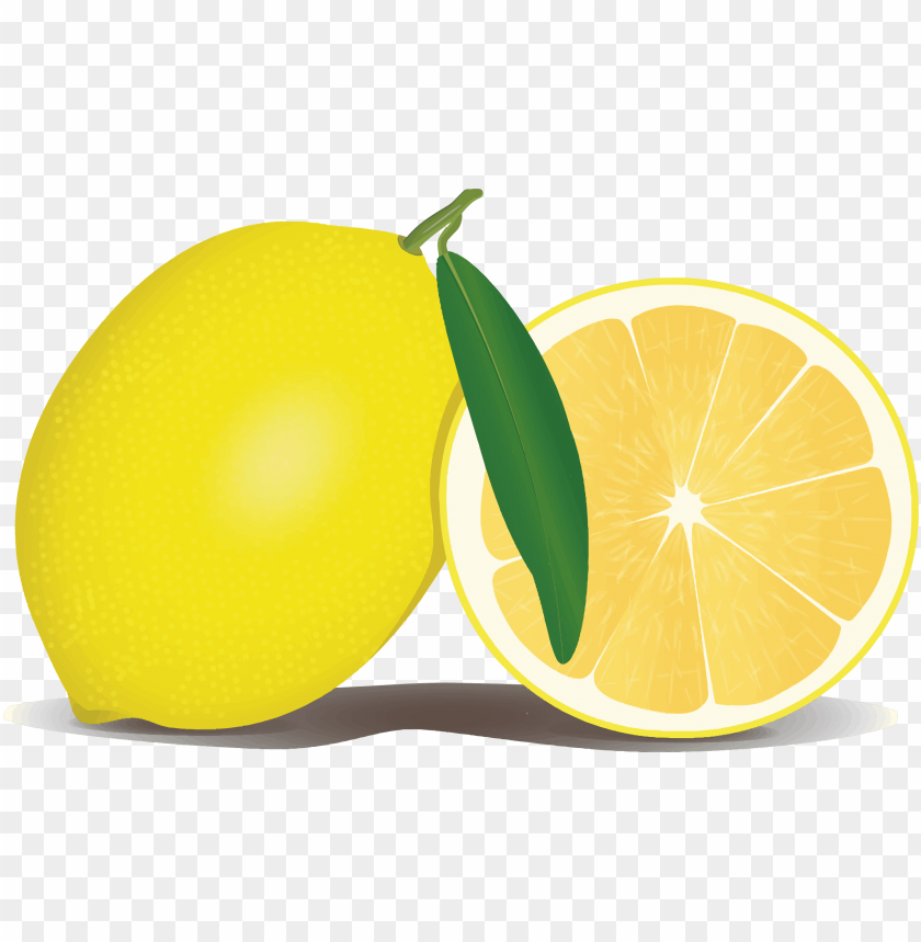 Detail Buah Lemon Png Nomer 12