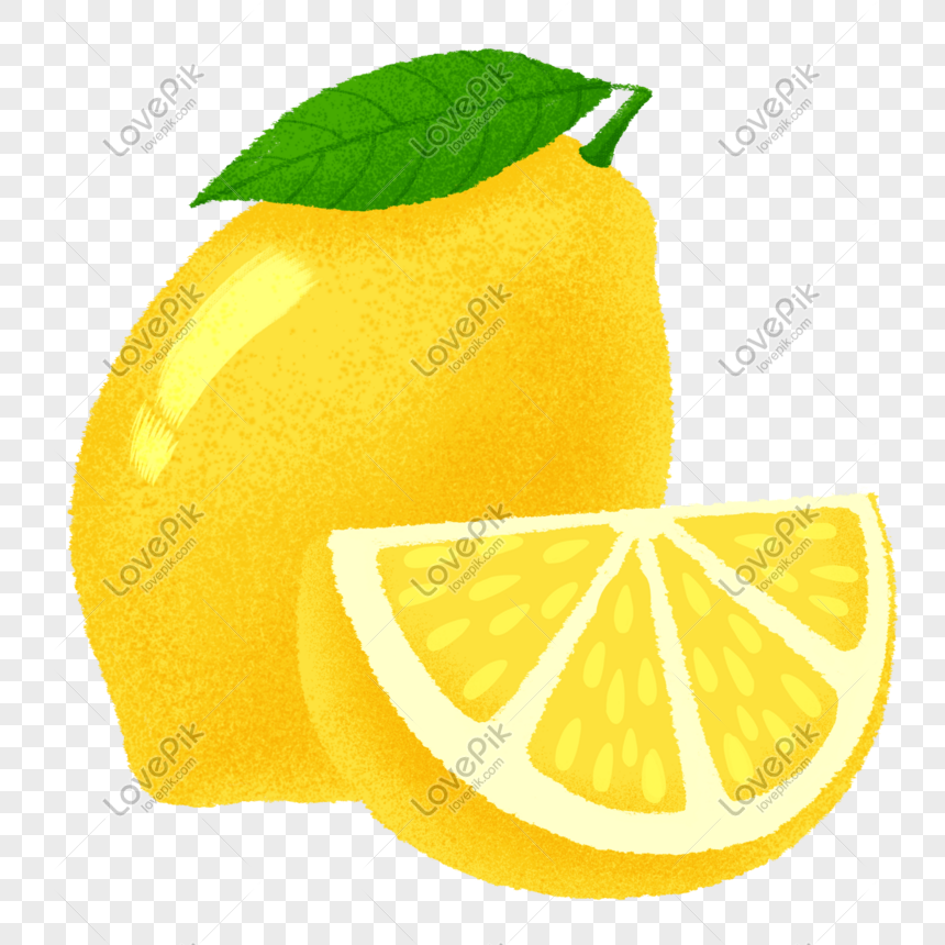 Detail Buah Lemon Png Nomer 26