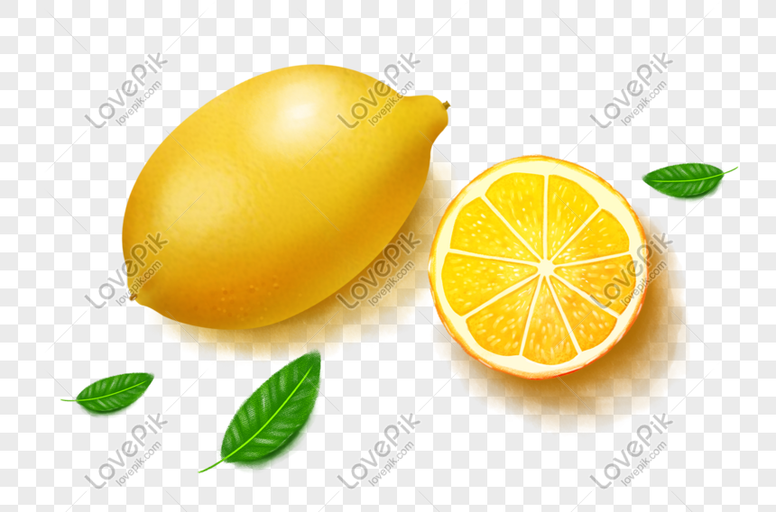 Detail Buah Lemon Png Nomer 37