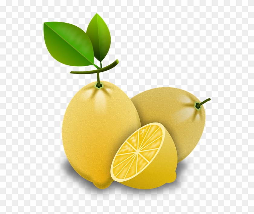 Detail Buah Lemon Png Nomer 8