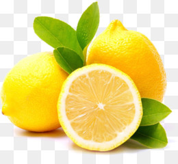 Detail Buah Lemon Png Nomer 9