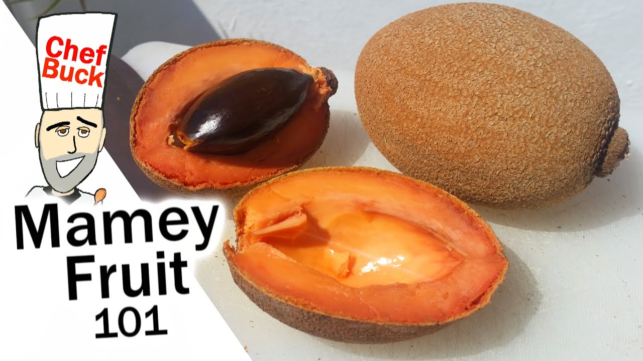 Detail Buah Mamey Sapote Nomer 36