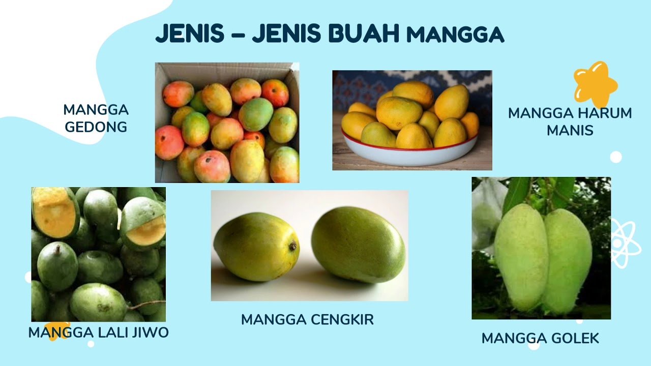 Detail Buah Mangga Animasi Nomer 24