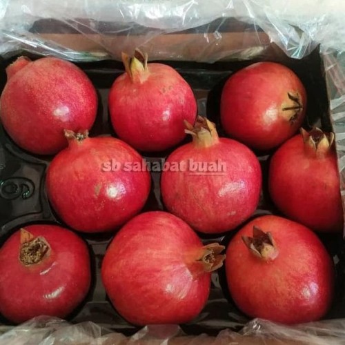 Detail Buah Merah Delima Nomer 32