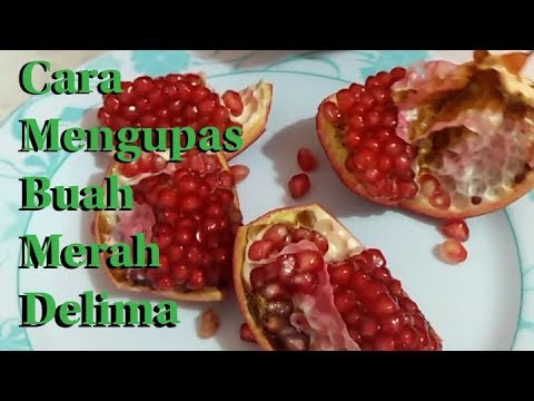 Detail Buah Merah Delima Nomer 35