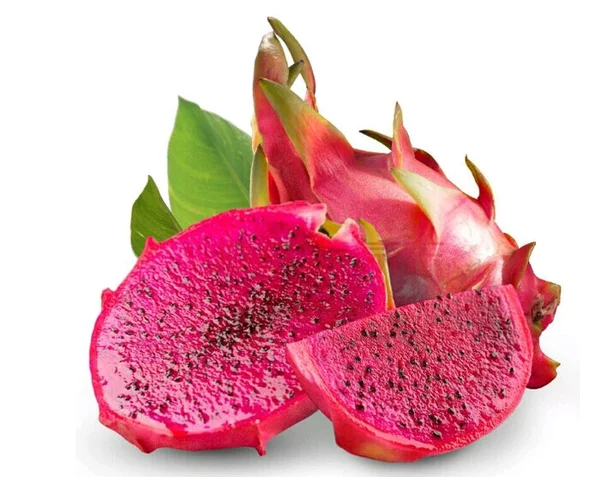 Detail Buah Naga Hd Nomer 30