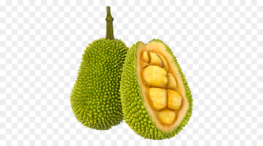 Detail Buah Nangka Png Nomer 5