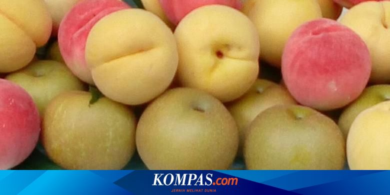 Detail Buah Persik Adalah Kesemek Nomer 53