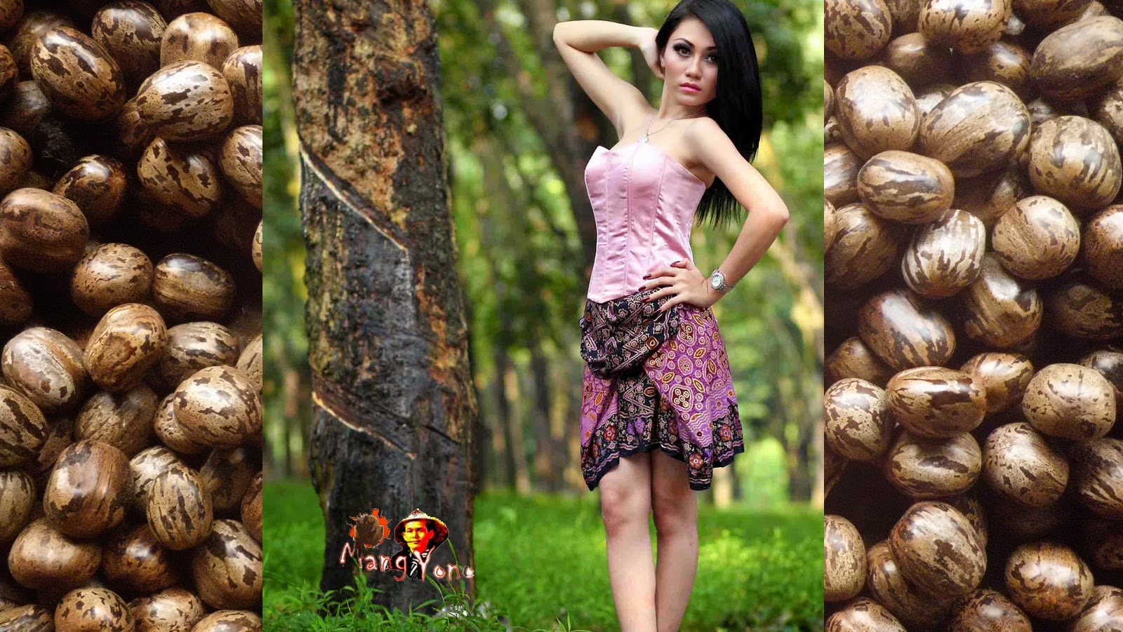 Detail Buah Pohon Karet Nomer 10