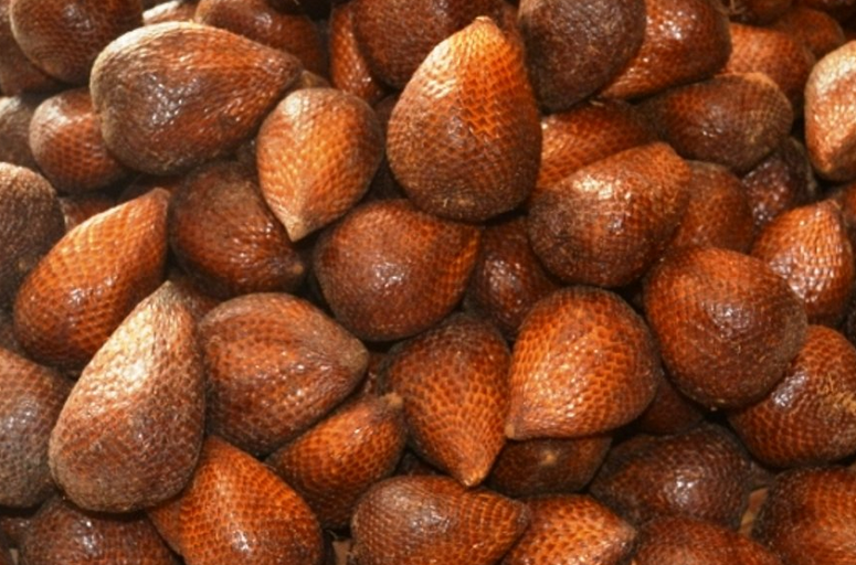 Detail Buah Salak Png Nomer 23