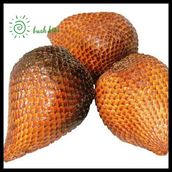 Detail Buah Salak Png Nomer 49