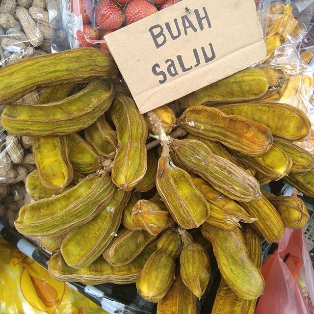 Buah Salju Di Bali - KibrisPDR
