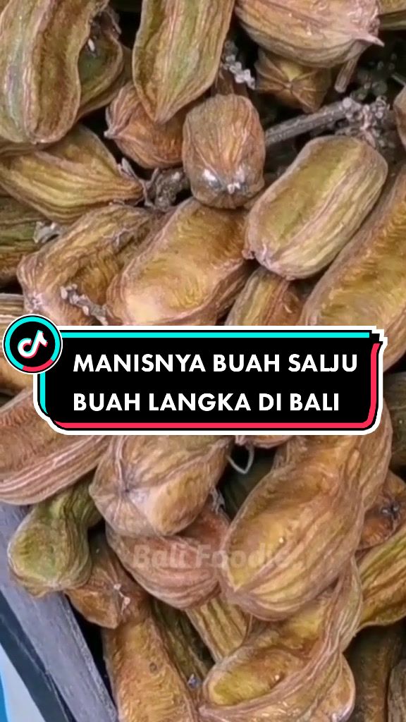Detail Buah Salju Di Bali Nomer 15