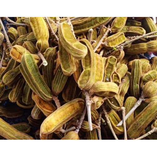 Detail Buah Salju Di Bali Nomer 29