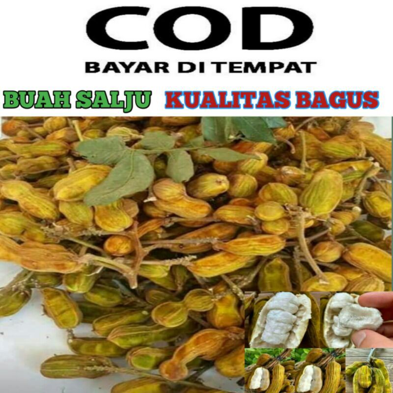 Detail Buah Salju Di Bali Nomer 36