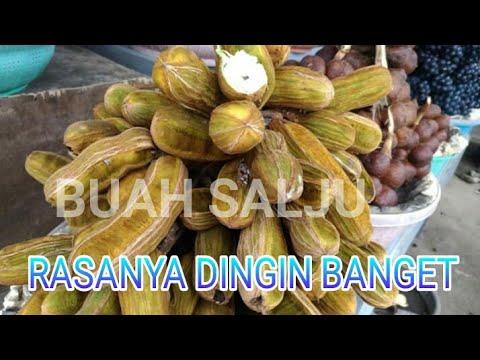 Detail Buah Salju Di Bali Nomer 41