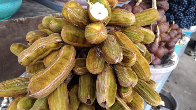 Detail Buah Salju Di Bali Nomer 48