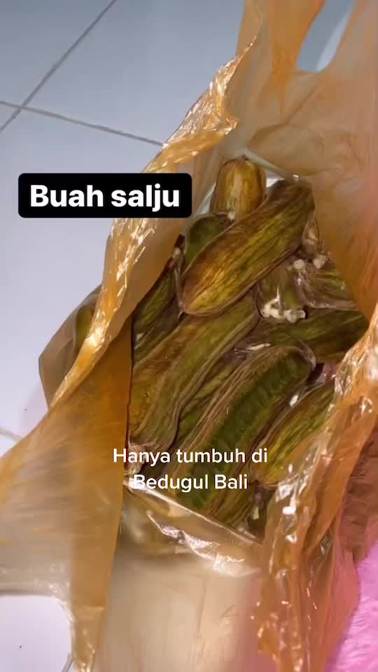 Detail Buah Salju Di Bali Nomer 49