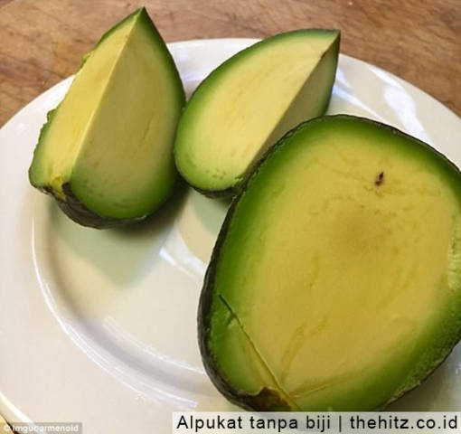 Detail Buah Tanpa Biji Nomer 12