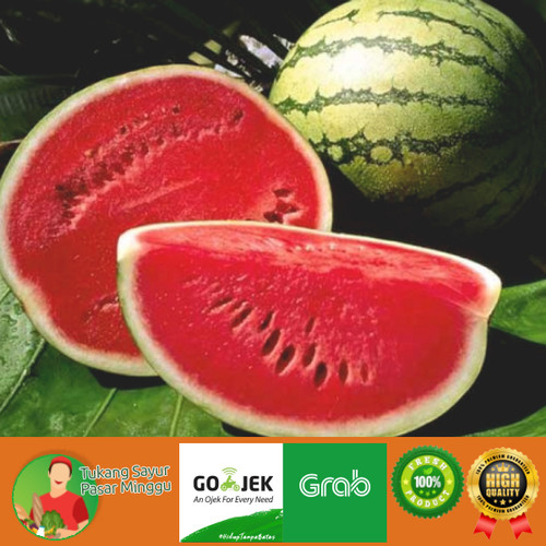 Detail Buah Tanpa Biji Nomer 31
