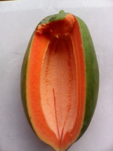 Detail Buah Tanpa Biji Nomer 40