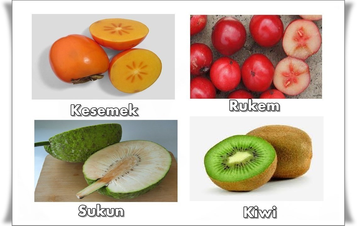 Detail Buah Tanpa Biji Nomer 6