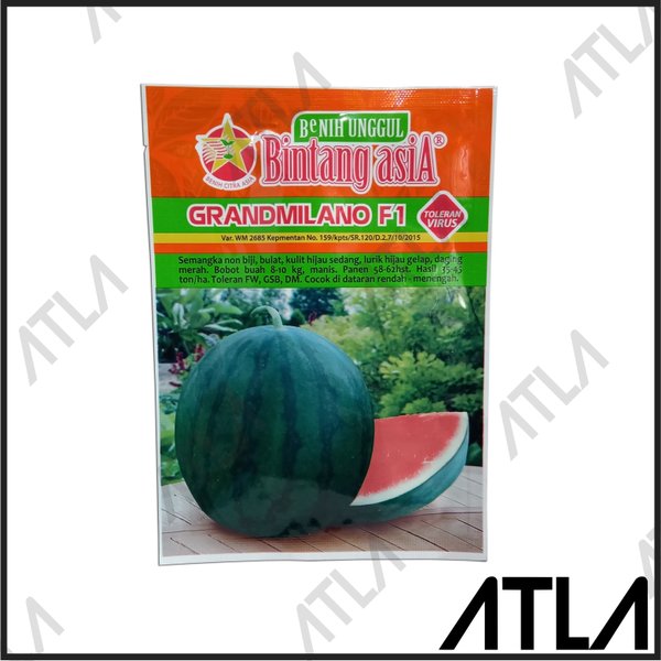 Detail Buah Tanpa Biji Nomer 51