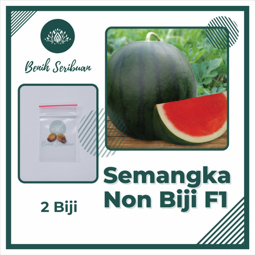 Detail Buah Tanpa Biji Nomer 55