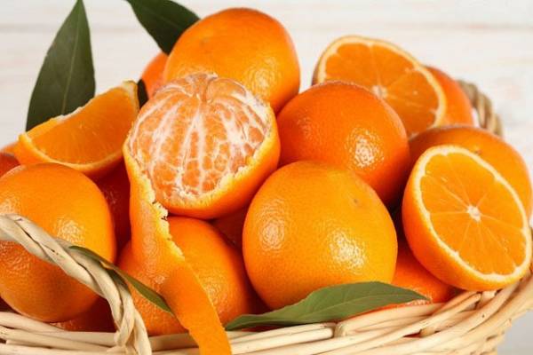 Detail Buah Yang Berwarna Orange Nomer 30