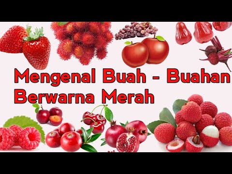 Detail Buah Yang Warna Merah Nomer 7